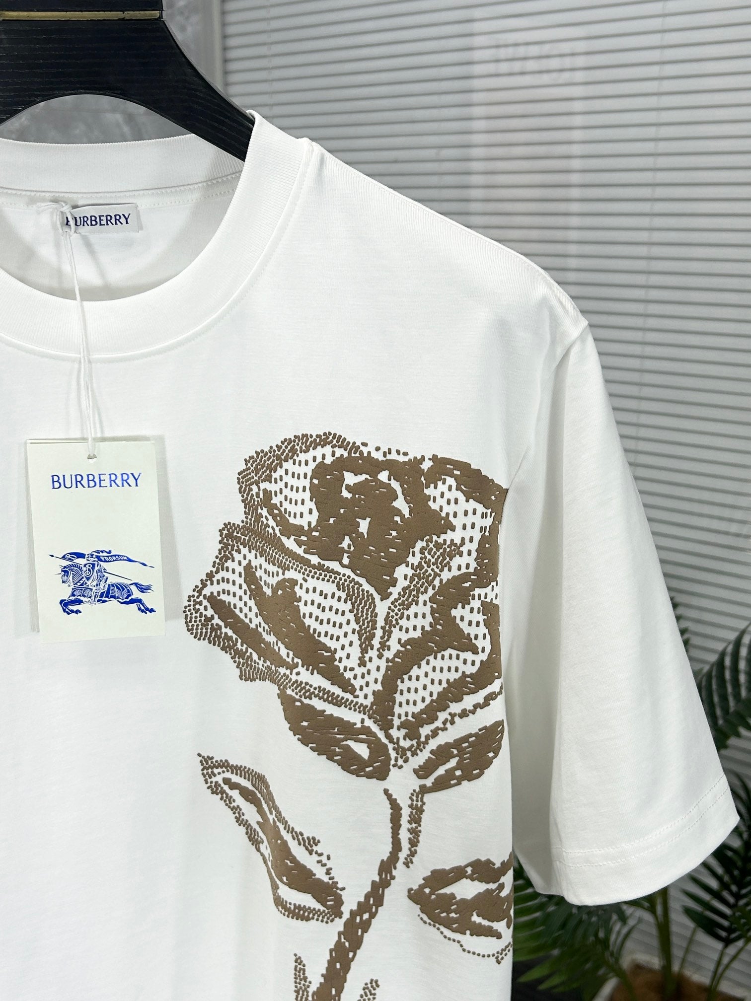 white view 4
