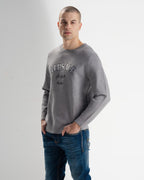 gray view 4