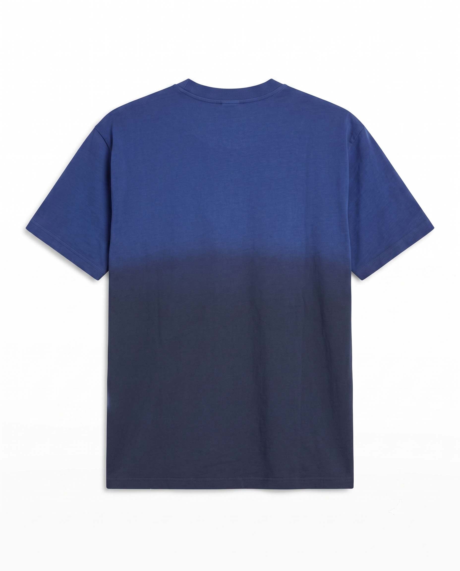 blue view 2