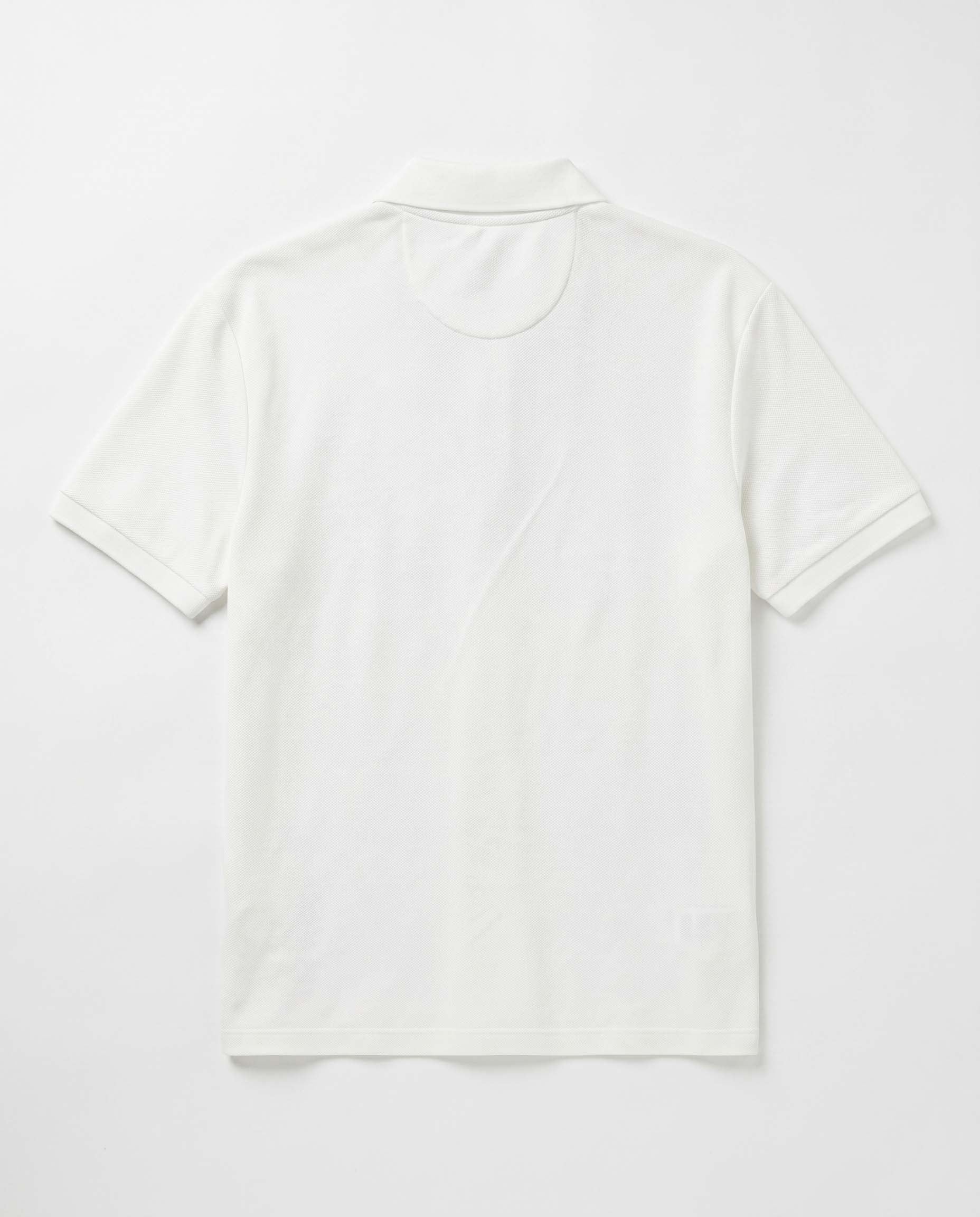 white view 2