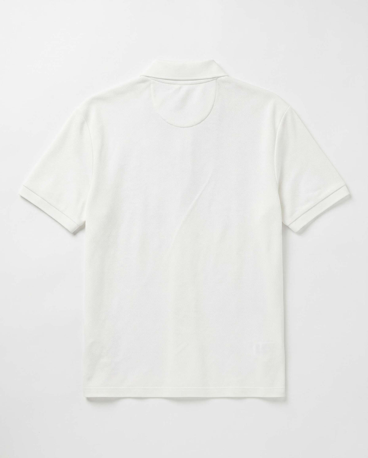white view 2