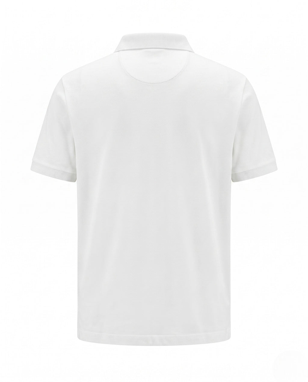 white view 2