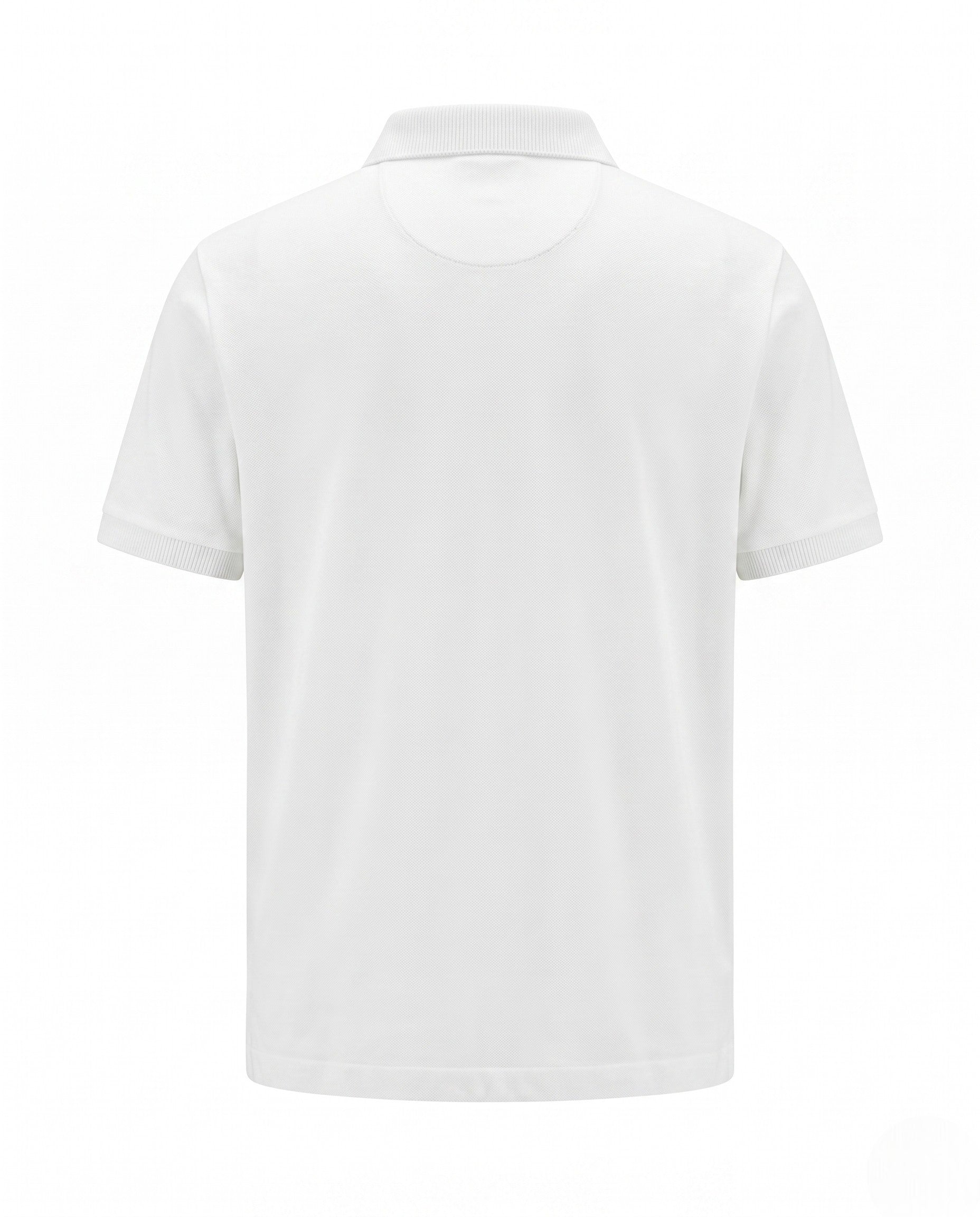 white view 2