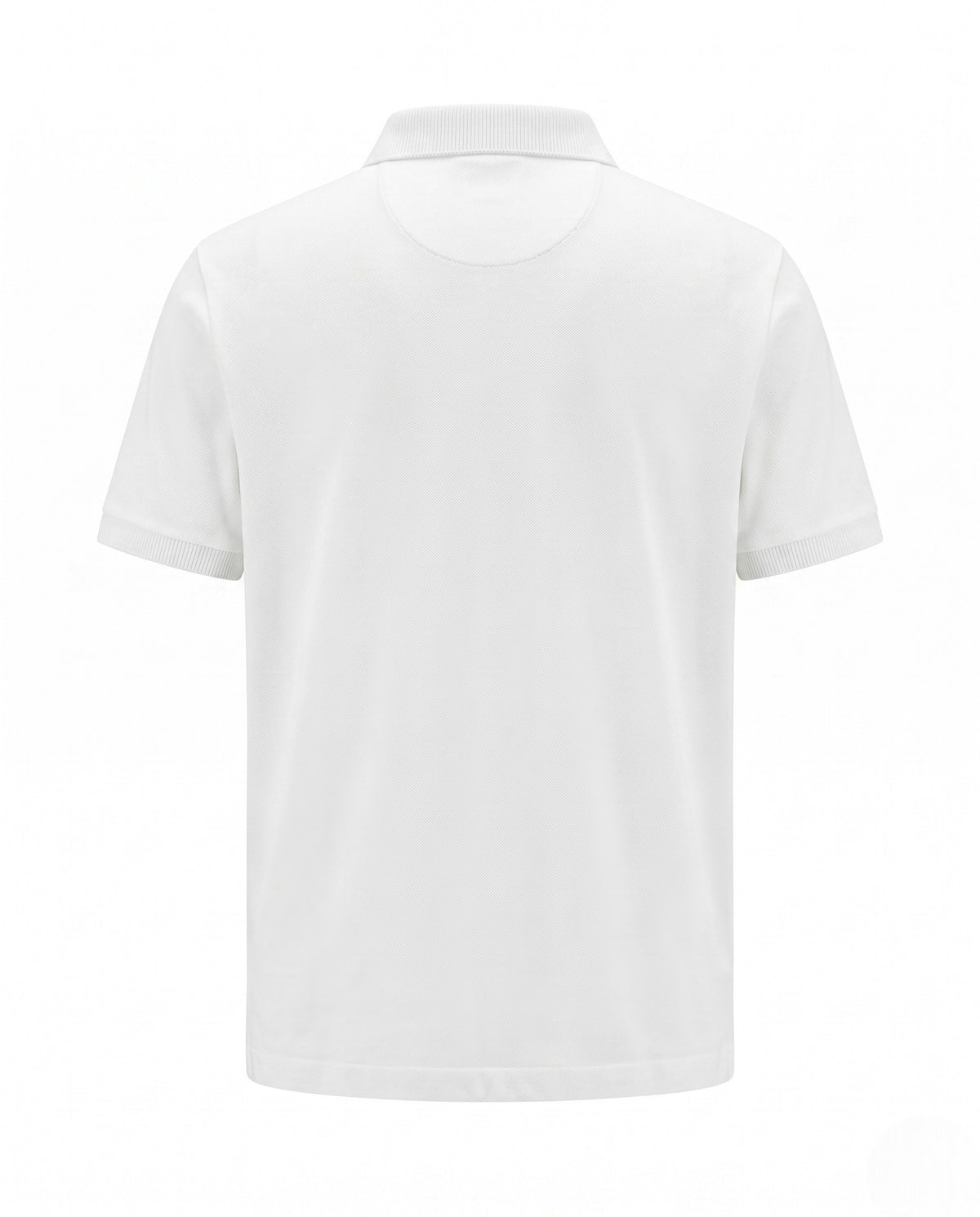 white view 2