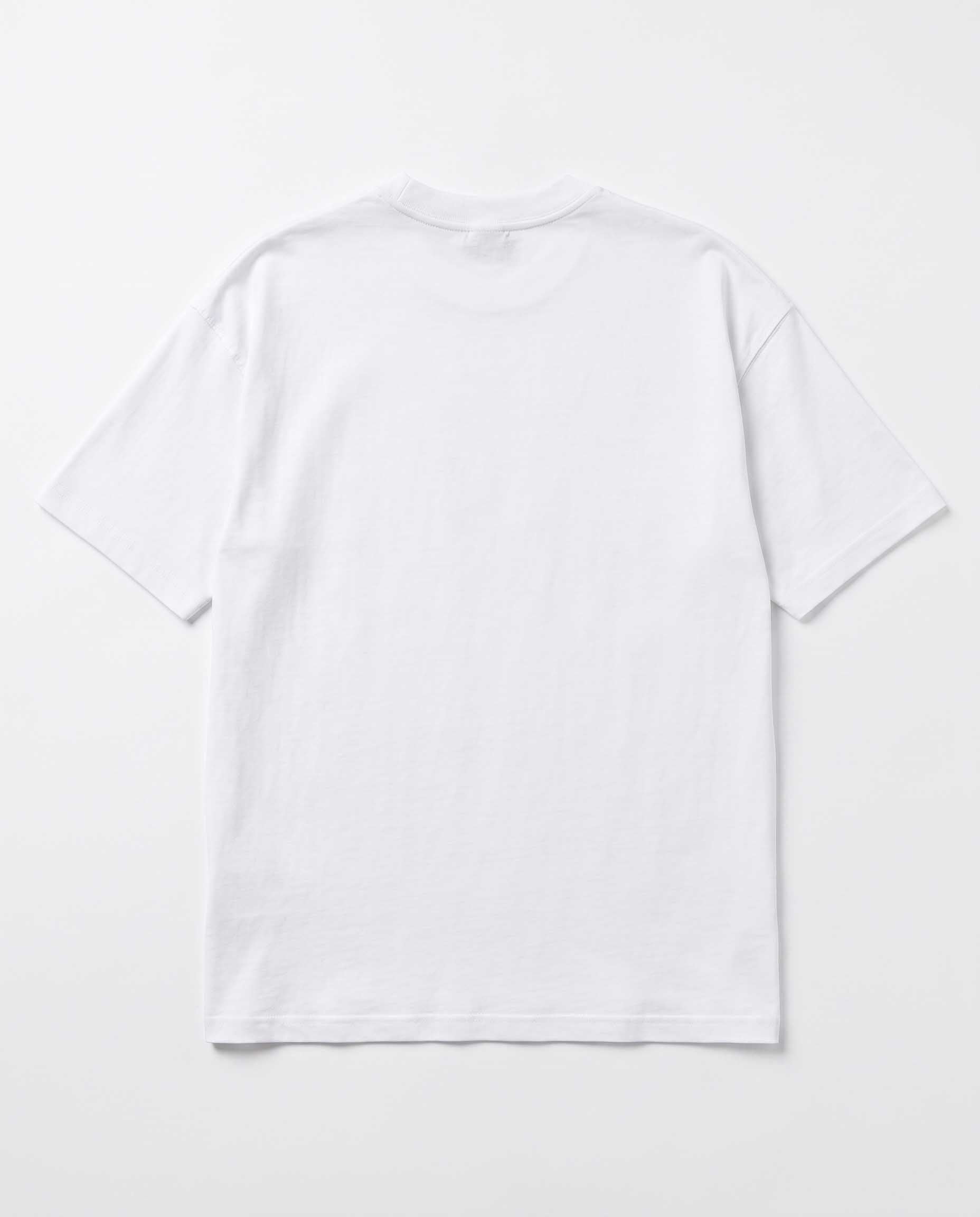 white view 2