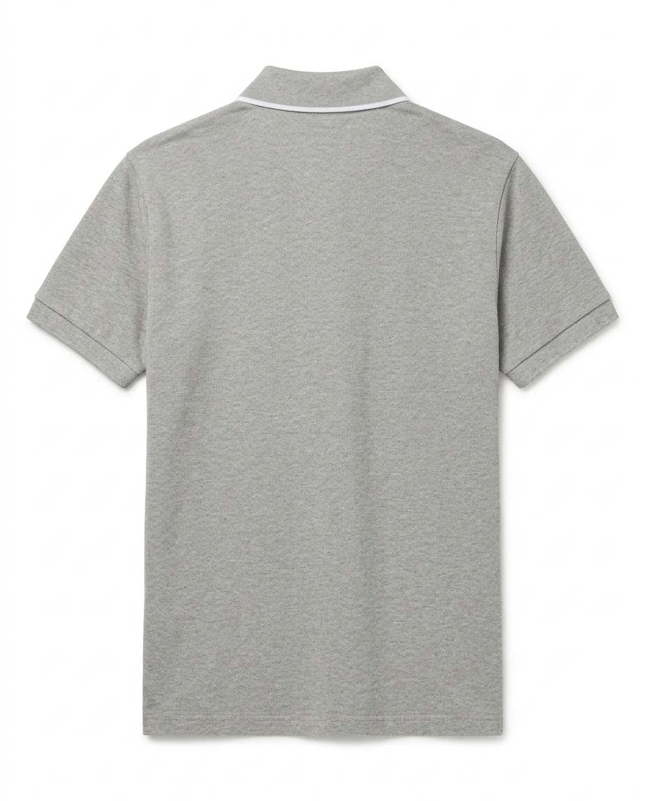 gray view 2
