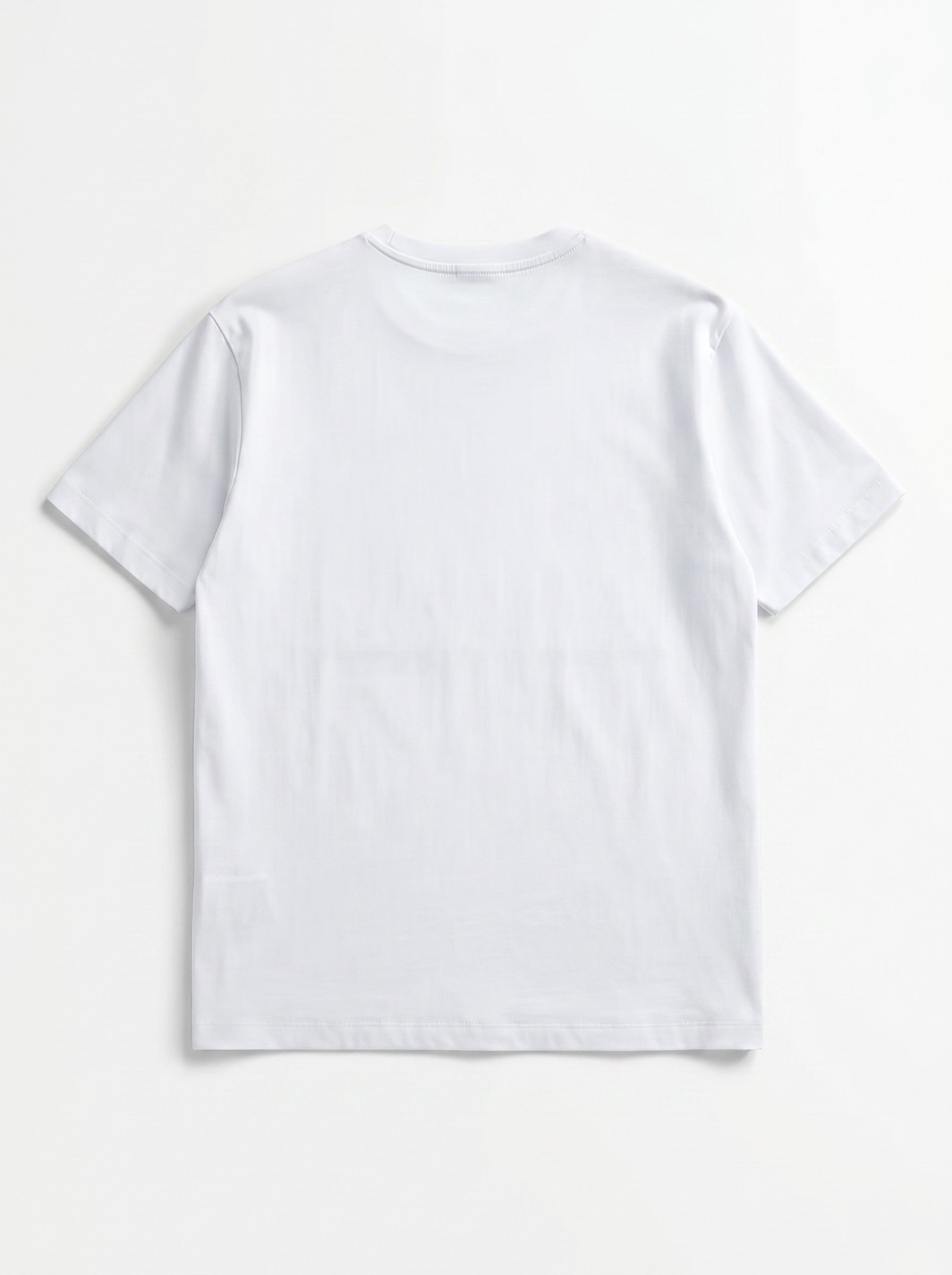 white view 2