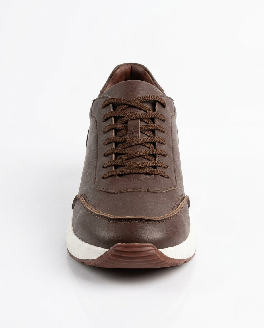 brown view 3