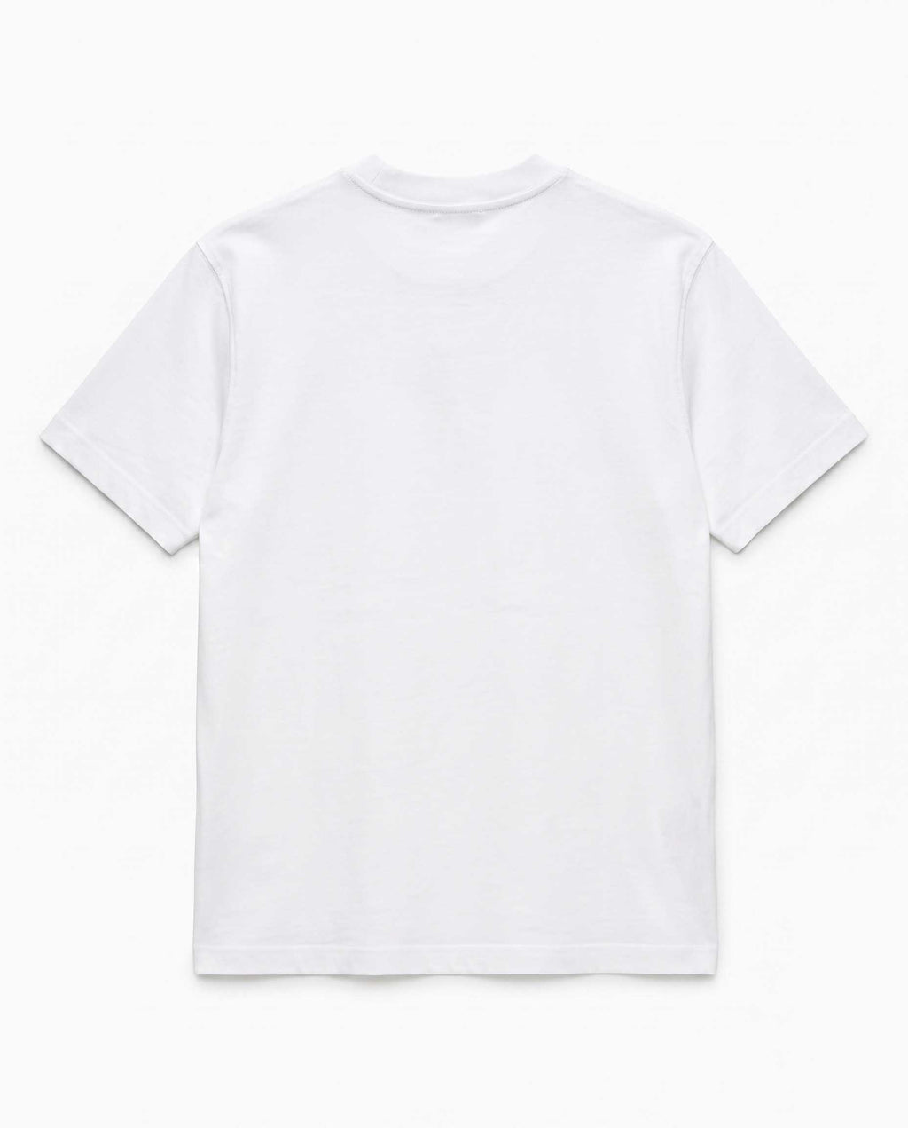 white view 2