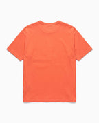 orange view 2