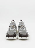 gray view 1