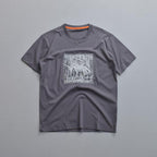 gray view 1