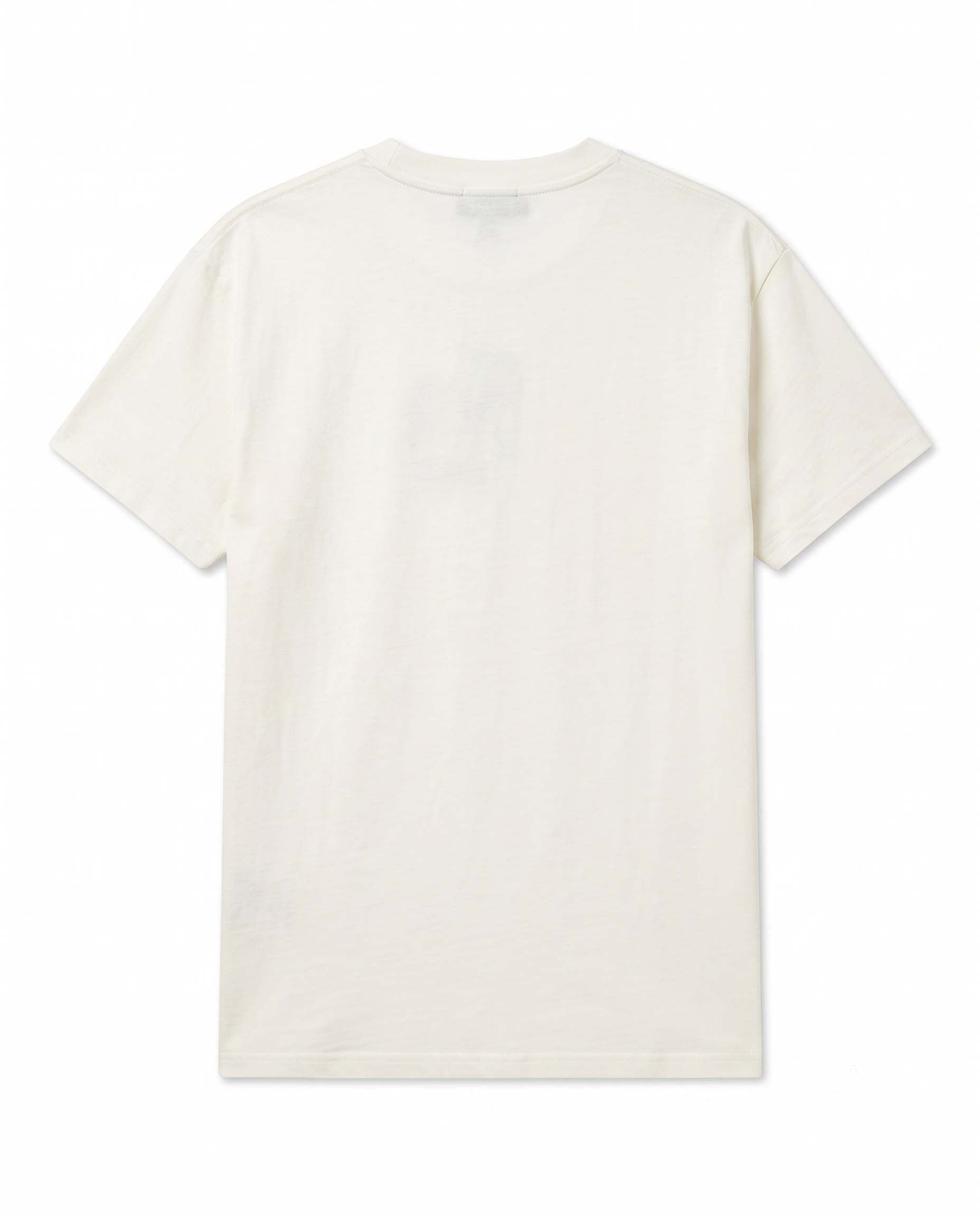 white view 2