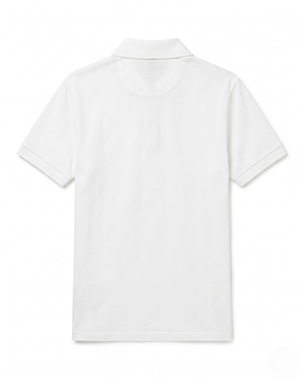 white view 2