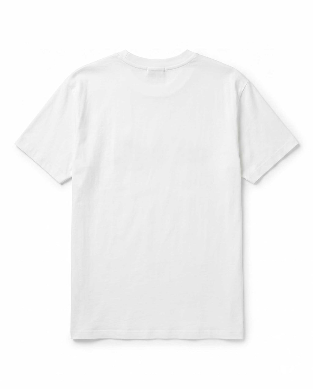 white view 2