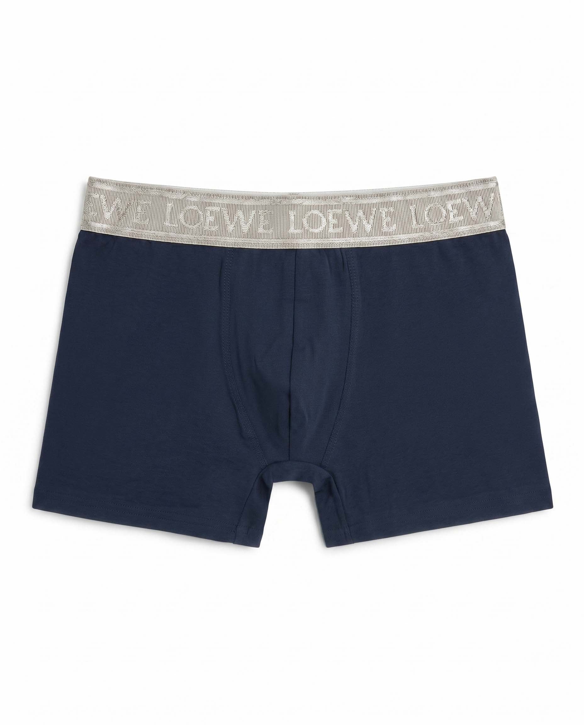 loewe 561