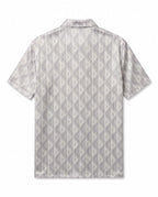 gray view 2