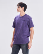 purple view 1