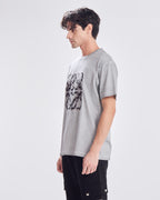 gray view 2
