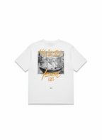 white view 2
