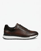 brown view 1