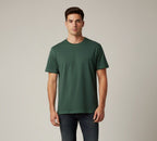 olive view 1