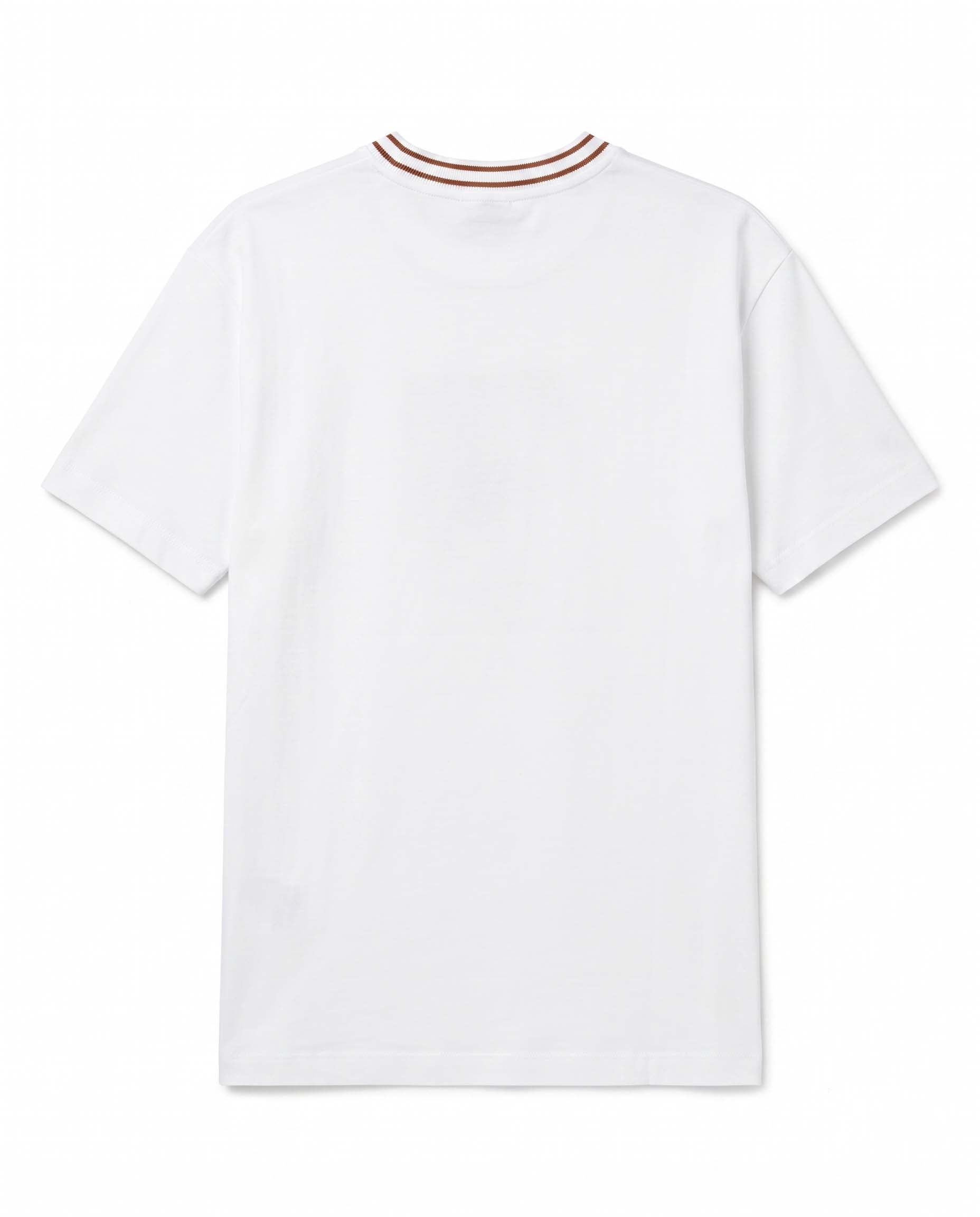 white view 2